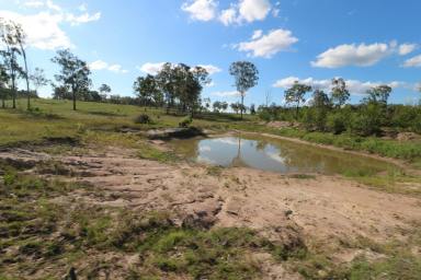 Livestock For Sale - QLD - Golden Fleece - 4621 - 240 ACRES READY FOR STOCK!  (Image 2)