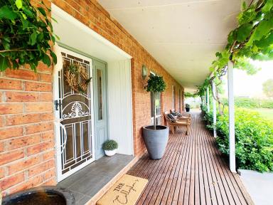 House Leased - NSW - Tamworth - 2340 - Absolutely Amazing Home!  (Image 2)