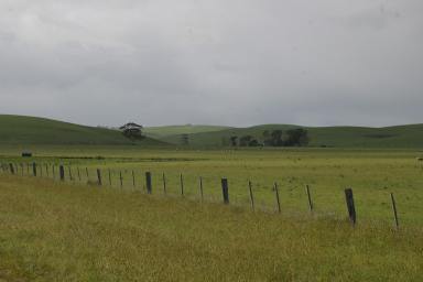 Mixed Farming For Sale - VIC - Henty - 3312 - "BERTINYA" - Attractive and Productive Farmlet  (Image 2)