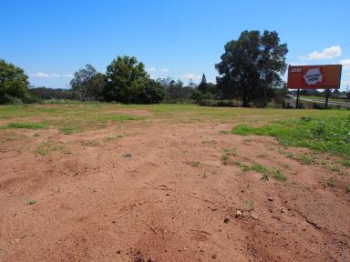 Residential Block For Sale - QLD - Childers - 4660 - BRUCE HIGHWAY FRONTAGE  (Image 2)