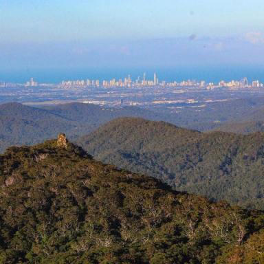 Other (Commercial) For Sale - QLD - Springbrook - 4213 - A Rare Rainforest Estate with Huge Potential  (Image 2)