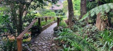 Other (Commercial) For Sale - QLD - Springbrook - 4213 - A Rare Rainforest Estate with Huge Potential  (Image 2)