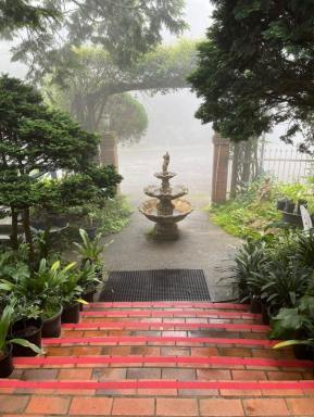 Other (Commercial) For Sale - QLD - Springbrook - 4213 - A Rare Rainforest Estate with Huge Potential  (Image 2)