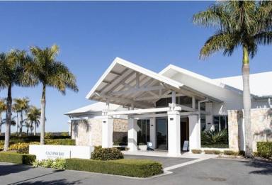 Residential Block For Sale - QLD - Jacobs Well - 4208 - Unique Waterfront land (including 22 meter pontoon) (Image 2)