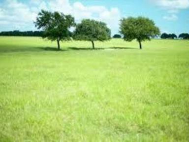 Residential Block For Sale - VIC - Greenvale - 3059 - Build your dream home - last few remaining lots Greenvale  (Image 2)