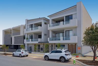 Apartment For Sale - WA - North Coogee - 6163 - 400 Metres to CY O'Connor Beach!  (Image 2)