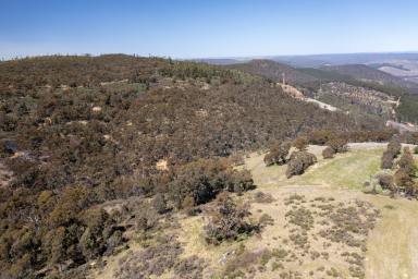 Other (Rural) For Sale - NSW - Burraga - 2795 - Suitable for Subdivision  (Image 2)