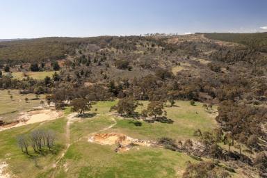 Other (Rural) For Sale - NSW - Burraga - 2795 - Suitable for Subdivision  (Image 2)