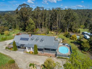 House Sold - VIC - Forrest - 3236 - Forrest View - Rare opportunity in the Otways  (Image 2)