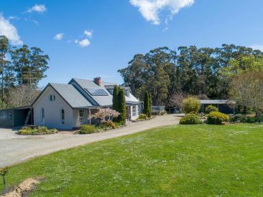 House Sold - VIC - Forrest - 3236 - Forrest View - Rare opportunity in the Otways  (Image 2)