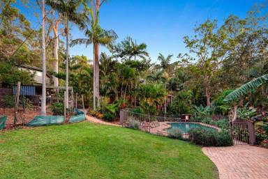 House For Sale - QLD - Cornubia - 4130 - AN EXECUTIVE HAVEN AMONGST THE TREETOPS!  (Image 2)