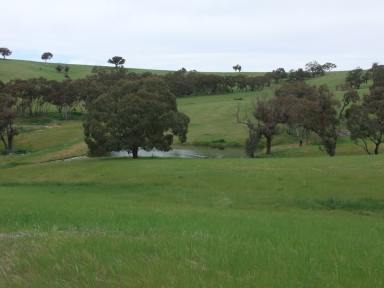 Cropping Auction - NSW - Bathurst - 2795 - "MONTEAGLE" - PREMIUM LOCATION, SPECTACULAR OUTLOOK  (Image 2)