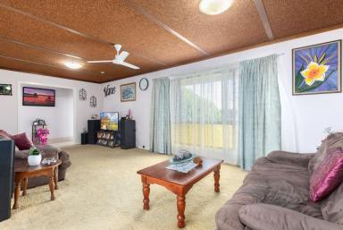 House For Sale - QLD - Pialba - 4655 - POTENTIAL PLUS POSITION  (Image 2)