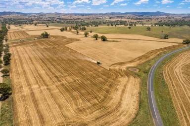Other (Rural) Auction - NSW - Manildra - 2865 - Mixed Farming Development Opportunity  (Image 2)