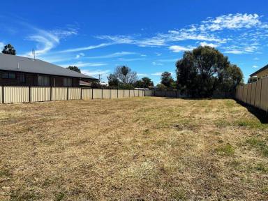 Residential Block For Sale - NSW - Moree - 2400 - Ideal Building Block!  (Image 2)