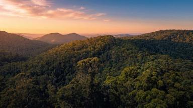 Land/Development For Sale - QLD - Samford Valley - 4520 - BUY THE RIDGELINE. HOLD THE VIEW.  (Image 2)