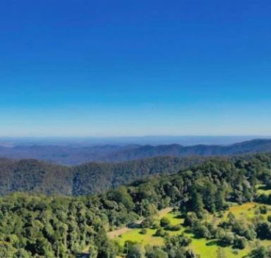 Land/Development For Sale - QLD - Samford Valley - 4520 - LARGE LANDHOLDING (APPROX 1088 ACRES) - Mount Glorious Estate. Currently with a DA for milling and felling  (Image 2)