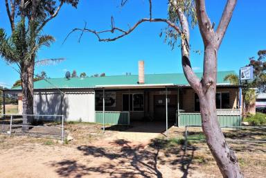 Business For Sale - WA - Pingrup - 6343 - Very Affordable Enterprise - What An Opportunity  (Image 2)