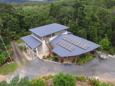 House For Sale - QLD - Daintree - 4873 - SUPERIOR OFF GRID RAINFOREST BUILD  (Image 2)