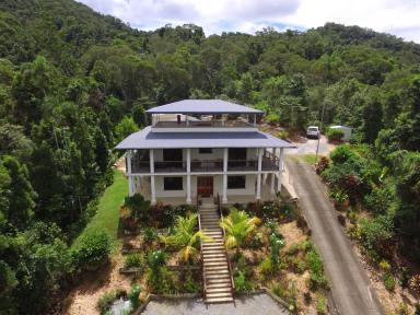 House For Sale - QLD - Daintree - 4873 - SUPERIOR OFF GRID RAINFOREST BUILD  (Image 2)