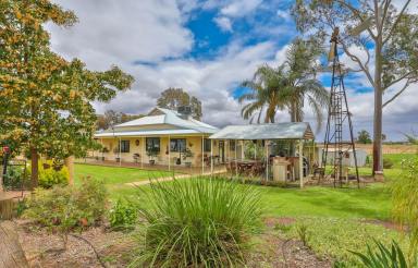Horticulture For Sale - VIC - Red Cliffs - 3496 - DIVERSE INCOME WITH CHARACTER FILLED HOME  (Image 2)