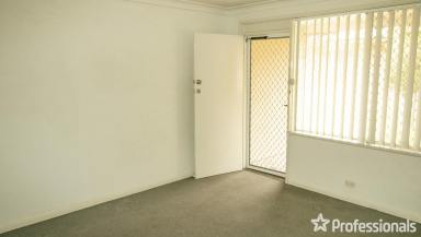 House For Lease - NSW - West Tamworth - 2340 - Studio and 1 Bedroom Units - West Tamworth  (Image 2)