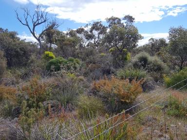 Lifestyle For Sale - WA - Wellstead - 6328 - Rural Escape Lots Vacant Land Be Quick 2 SOLD already  (Image 2)
