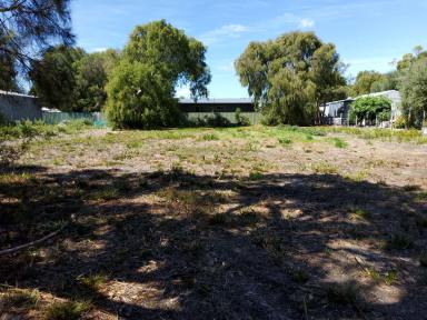 Residential Block For Sale - WA - Walpole - 6398 - Holiday Home or Retirement?  (Image 2)