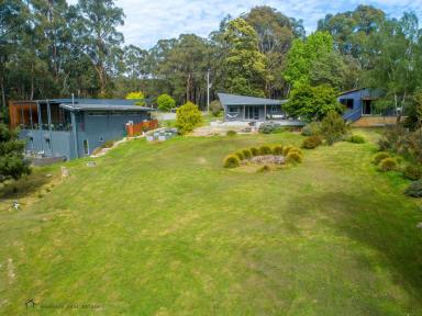 Acreage/Semi-rural Sold - VIC - Forrest - 3236 - Cafe, Chocolaterie, California Bungalow, Studio - 2.45 acres in the heart of Forrest  (Image 2)