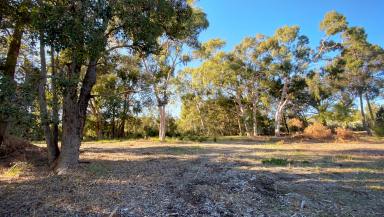 Residential Block For Sale - WA - Walliston - 6076 - Your Dream Hills Lifestyle Starts Here  (Image 2)