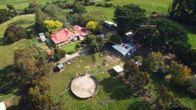 House For Sale - VIC - Ruby - 3953 - COUNTRY LIVING  (Image 2)