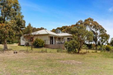 House Leased - VIC - Beaufort - 3373 - Beaufort Beauty - Gorgeous home on 5 acres!  (Image 2)
