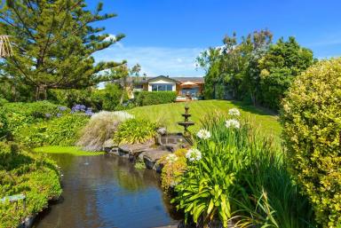 House Sold - VIC - Apollo Bay - 3233 - Mid Century home with stunning ocean views on large block  (Image 2)