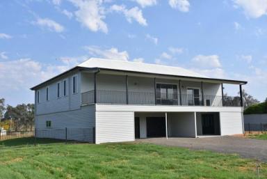 House For Sale - NSW - Moree - 2400 - WHEN SIZE MATTERS!  (Image 2)