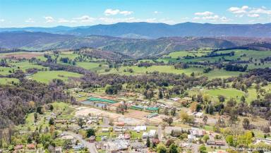 Residential Block For Sale - NSW - Batlow - 2730 - Beautiful Batlow Land  (Image 2)