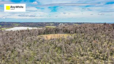 Residential Block For Sale - NSW - Batlow - 2730 - Beautiful Batlow Land  (Image 2)