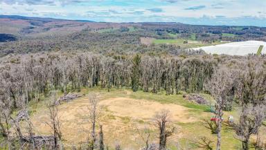 Residential Block For Sale - NSW - Batlow - 2730 - Beautiful Batlow Land  (Image 2)