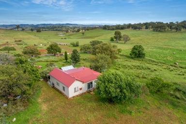 Lifestyle Sold - NSW - Manildra - 2865 - Tucked Down a Country Laneway  (Image 2)