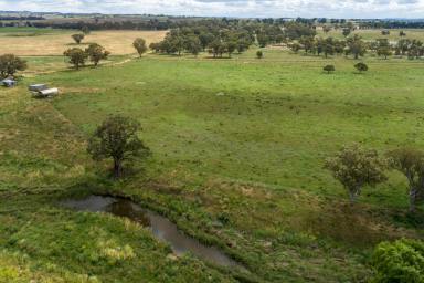 Other (Rural) For Sale - NSW - Yeoval - 2868 - Looking to be self sufficient  (Image 2)