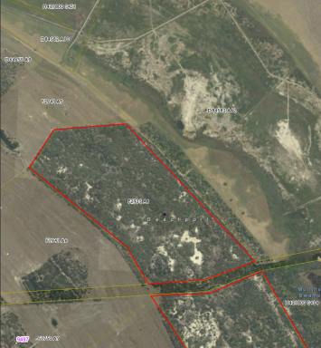 Lifestyle For Sale - SA - Beachport - 5280 - Bush Blocks Close to Coast  (Image 2)