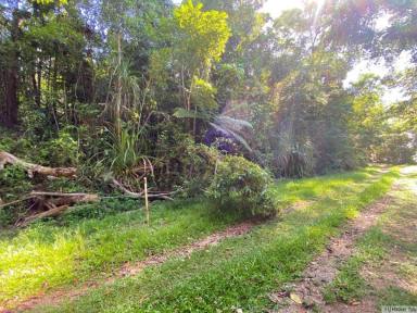 Residential Block For Sale - QLD - East Feluga - 4854 - GET BACK TO NATURE  (Image 2)