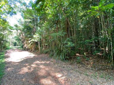 Residential Block For Sale - QLD - East Feluga - 4854 - GET BACK TO NATURE  (Image 2)