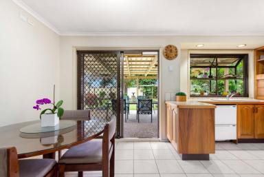 House For Sale - QLD - Daisy Hill - 4127 - Under Contract  (Image 2)