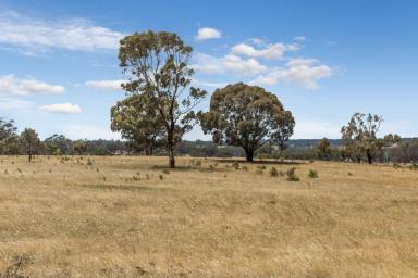 Lifestyle Sold - VIC - Eppalock - 3551 - PRIVATE AND SECLUDED ACREAGE  (Image 2)