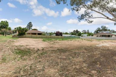Residential Block For Sale - VIC - Eaglehawk - 3556 - BUILD THE DREAM IN THIS QUIET ESTABLISHED AREA  (Image 2)