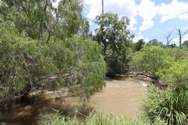 Mixed Farming For Sale - QLD - Innot Hot Springs - 4872 - SOUGHT AFTER HERBERT RIVER MIXED FARMING ACREAGE WITH HUGE WATER LICENSE  (Image 2)