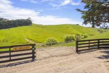 Residential Block For Sale - VIC - Apollo Bay - 3233 - K-VALLEY FARM - ON TOP OF THE WORLD!  (Image 2)