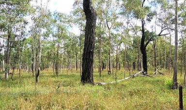 Residential Block Sold - QLD - Millstream - 4888 - 11 Wooded Acres waiting for you  (Image 2)