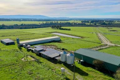 Other (Rural) For Sale - VIC - Darnum - 3822 - 136 acres Prime Grazing  with Large Shedding  (Image 2)