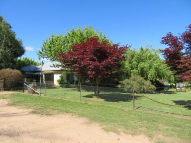 House For Sale - NSW - Adjungbilly - 2727 - Escape to the country !!!  (Image 2)